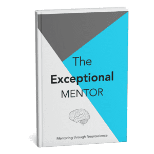 MENTOR REFLECTIVE JOURNAL